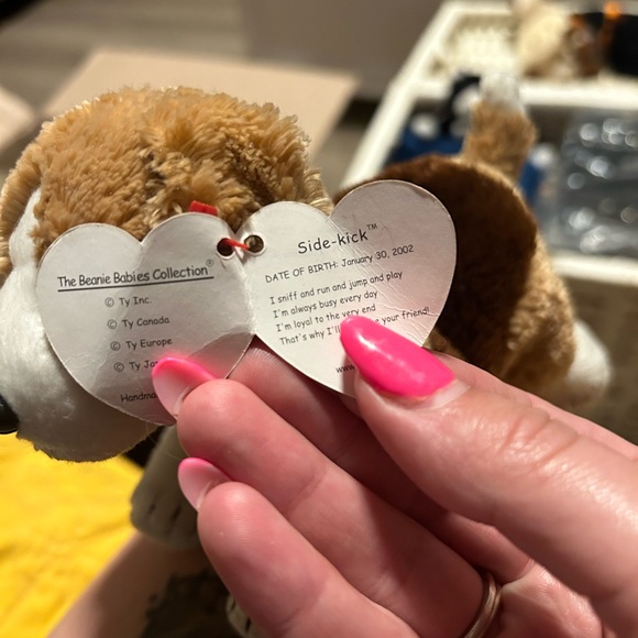 TY Beanie Baby - Sidekick the Dog (5.5 inch) - Picture 2 of 2